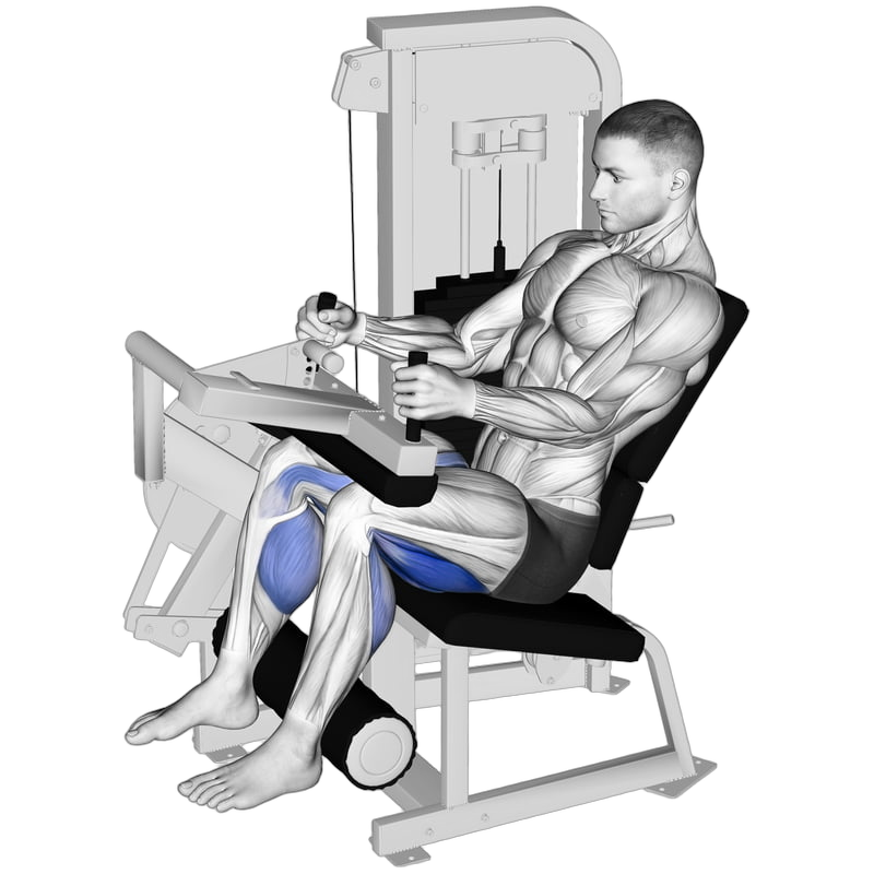 Seated Leg Curl exercise demonstration