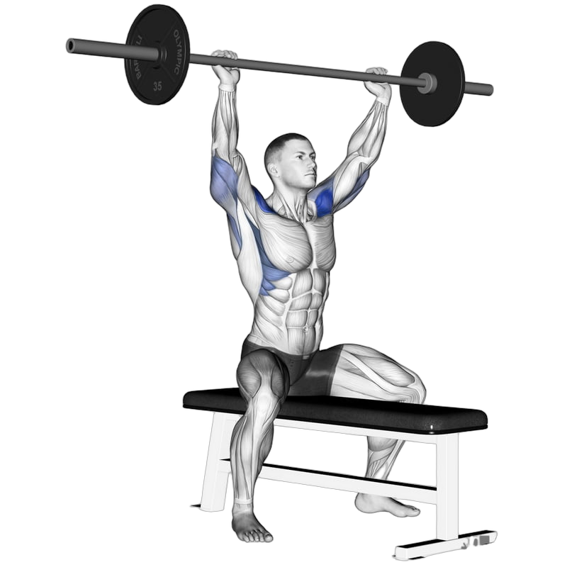Seated Overhead Press (Dumbbell)