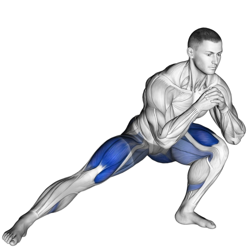 Side Lunge exercise demonstration