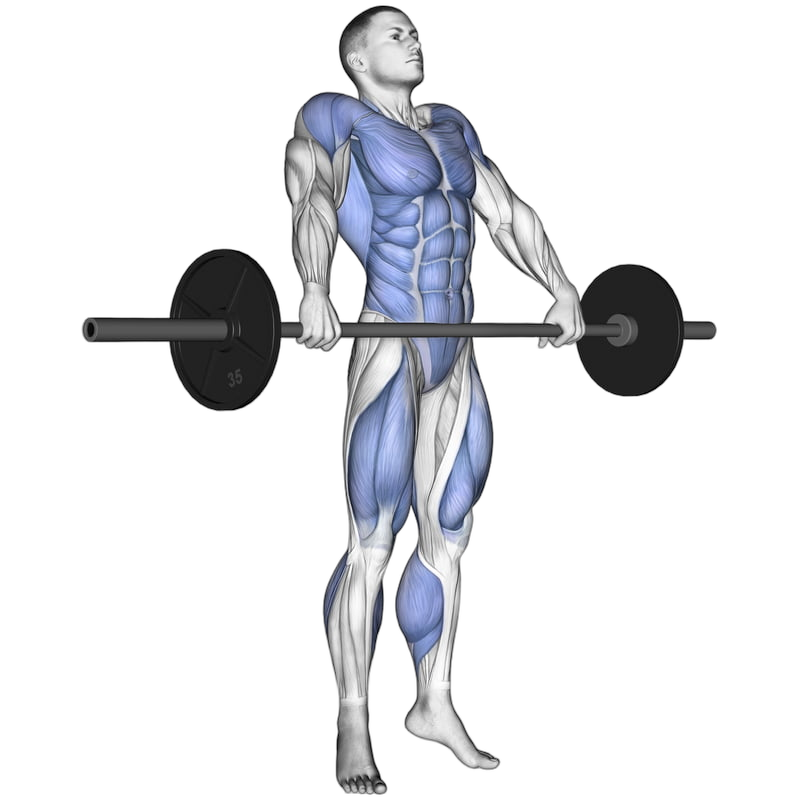 Snatch Pull