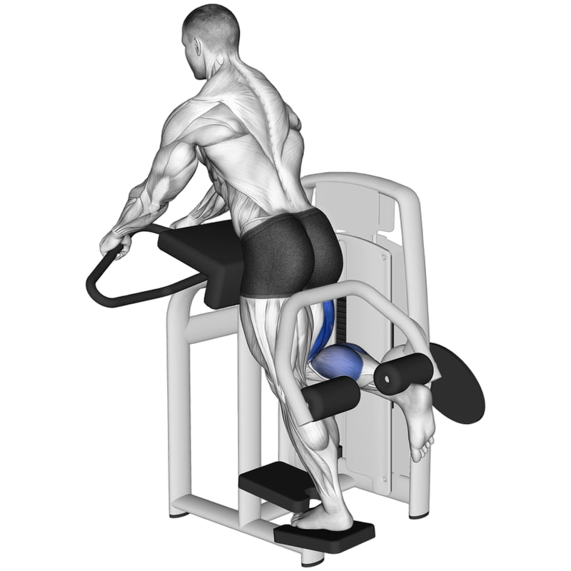 Standing Leg Curl exercise demonstration