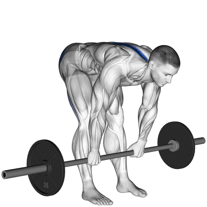 Stiff-Legged Deadlift