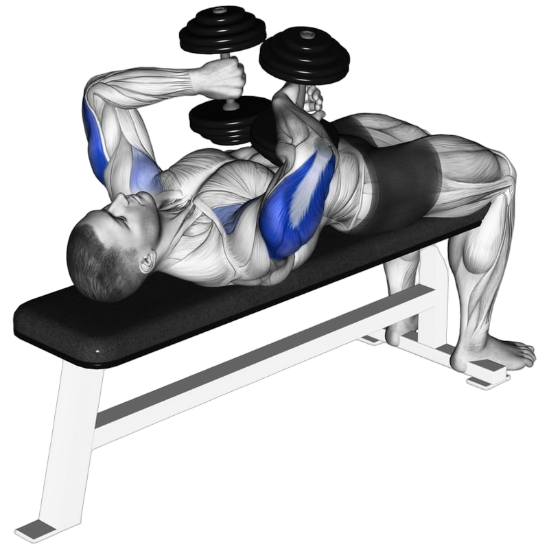 Tate Press exercise demonstration