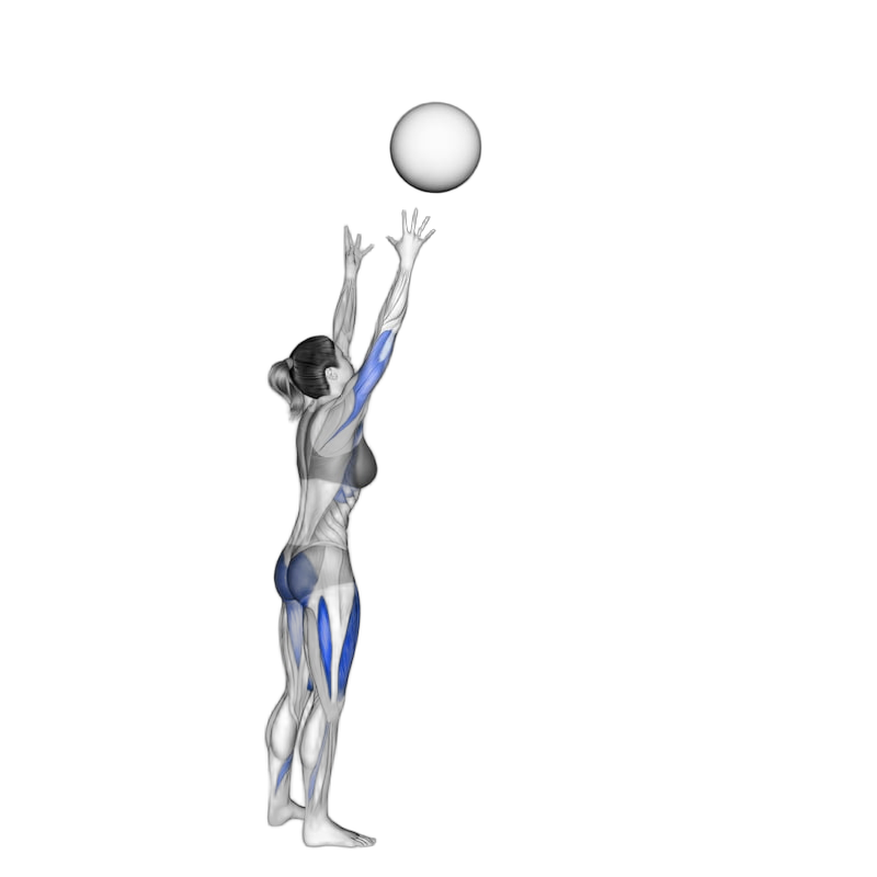 Wall Ball exercise demonstration