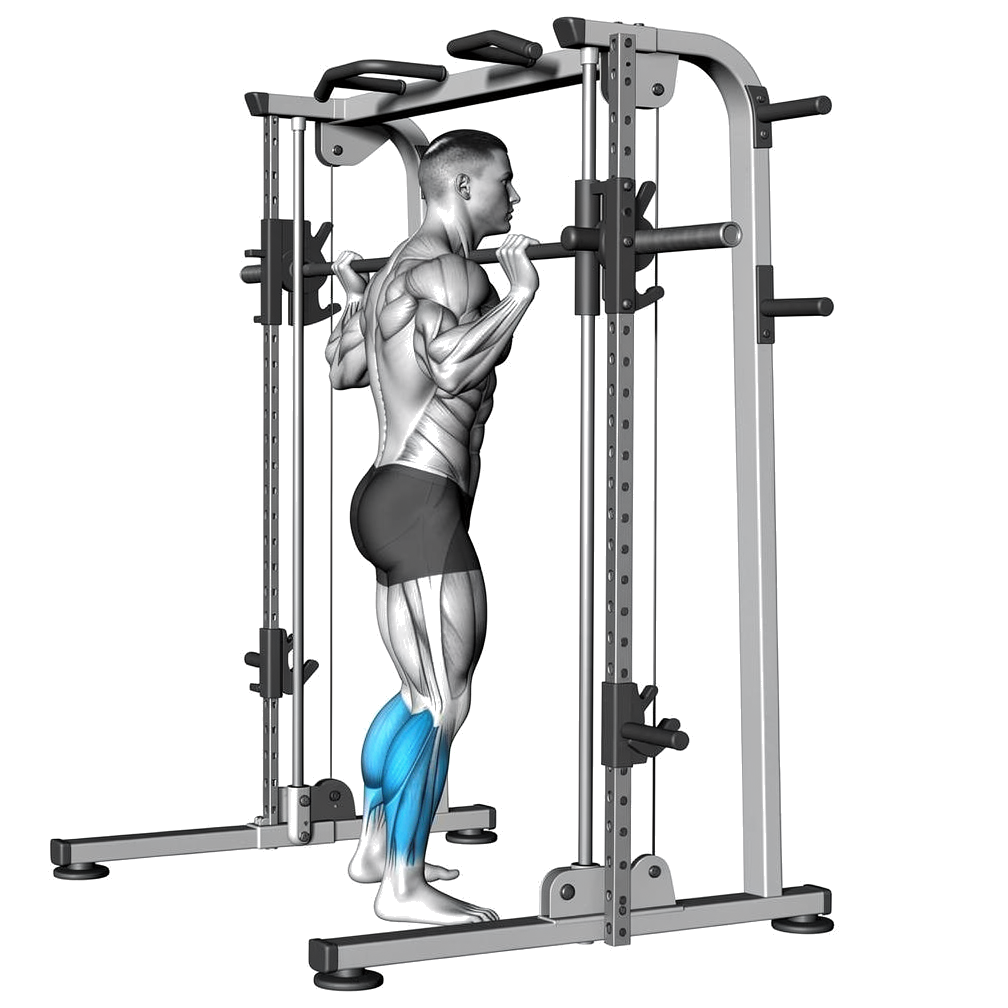 Smith Machine Calf Raise